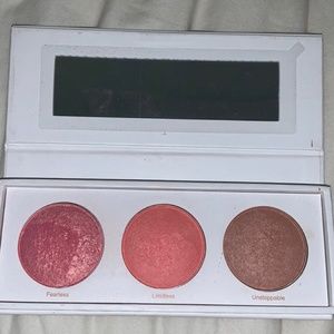 Lightly used realher blush kit